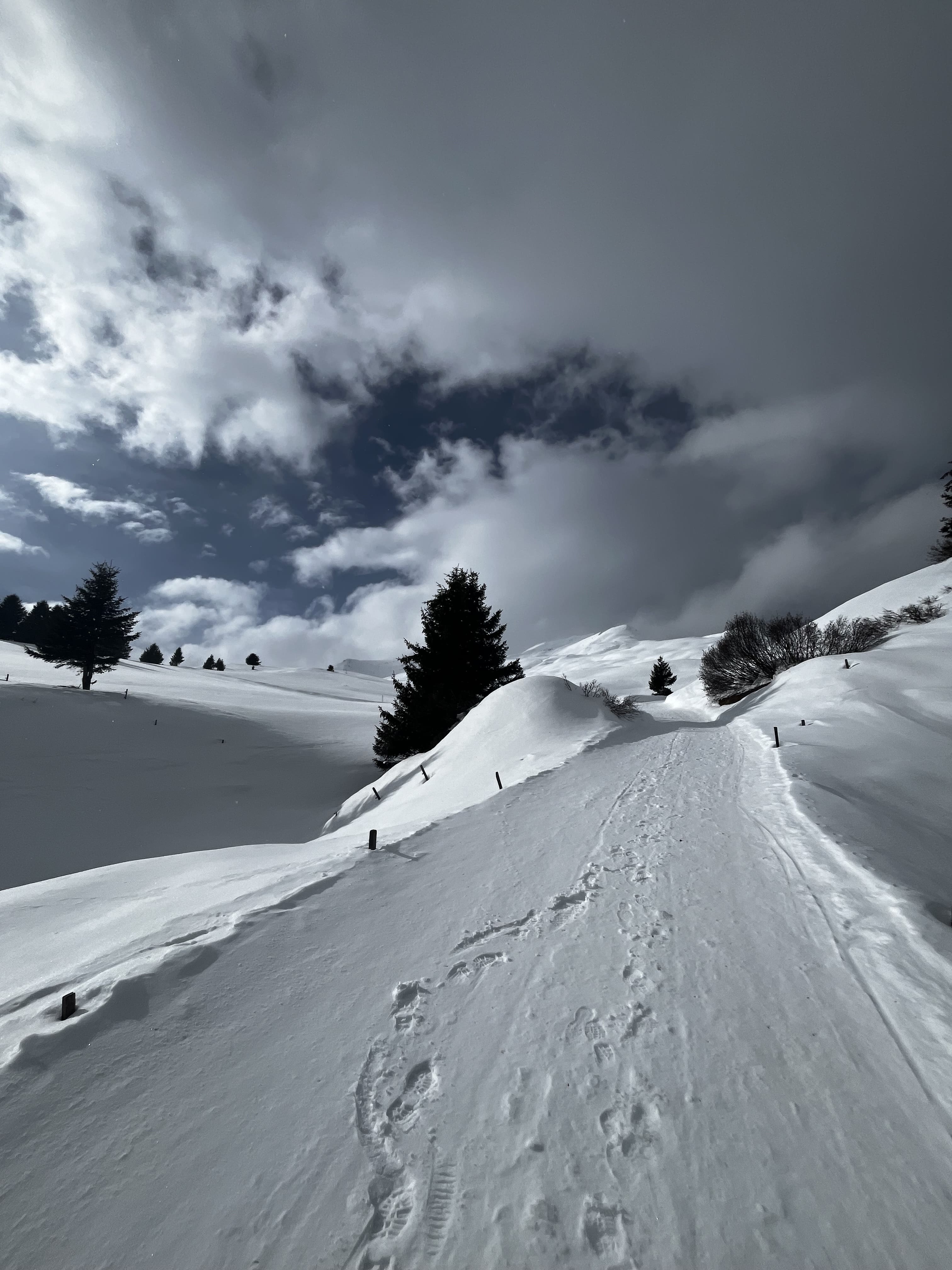 Switzerland 1